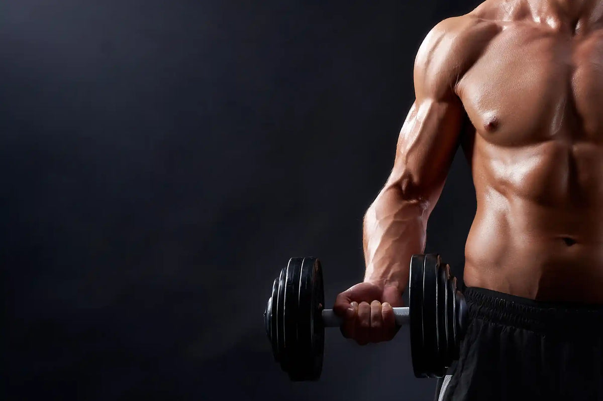 Hombre con masa muscular desarrollada, entrenando pesas.